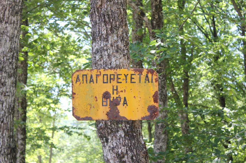 Παλιά πινακίδα για το κυνήγι σε ένα από τα δέντρα που σώθηκαν από το μαζικό ξερίζωμα του δάσους.