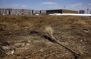 A make-shift broom lies on a deserted field that was once part of the stadium where the 2008 Olympic Games baseball competition was held in central Beijing